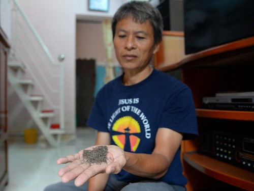 Dân[-]kêu[-]trời[-]vì[-]muỗi[-]bu[-]đen[-]nhà